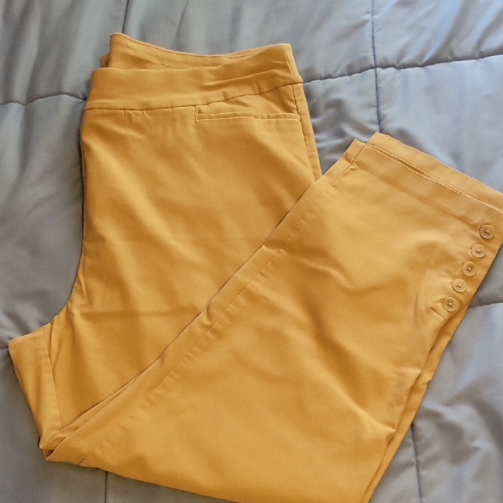 Chico's Tan Capri Pants Pull On Style Sz 20W Great Stretch!